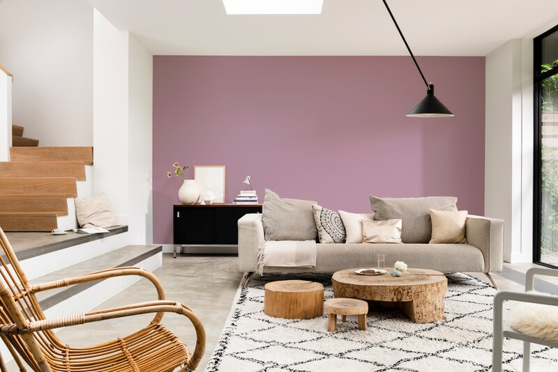 Dulux PROFESSIONAL Rezisto 5