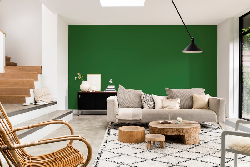 Dulux Paint Mixing Matt