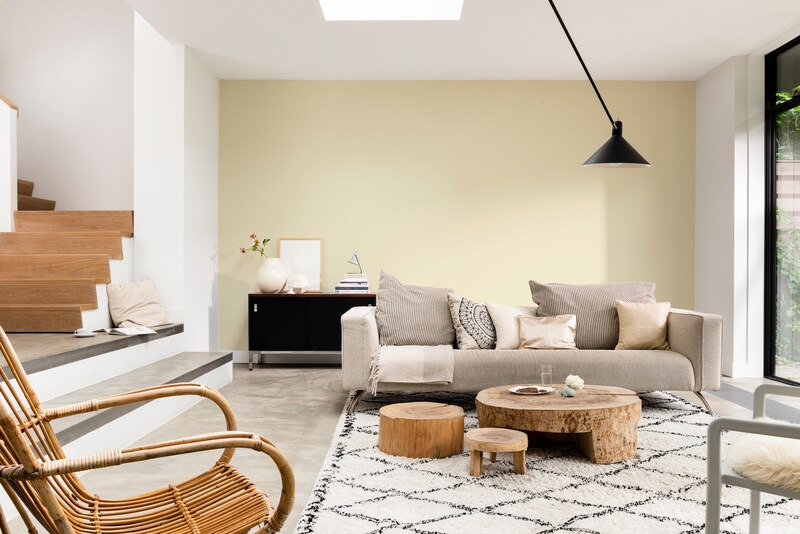 Dulux PROFESSIONAL Rezisto 5