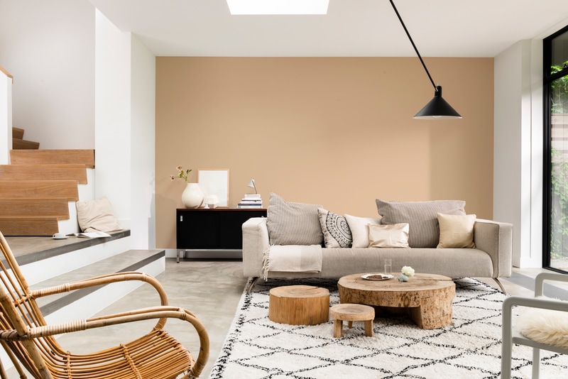 Dulux PROFESSIONAL Rezisto 5