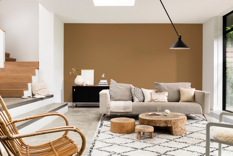 Dulux PROFESSIONAL Rezisto 5