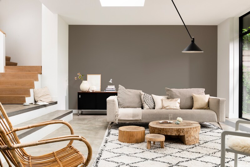 Dulux PROFESSIONAL Rezisto 5