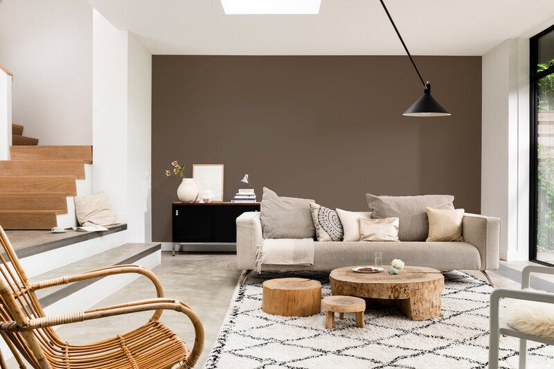 Dulux PROFESSIONAL Rezisto 5