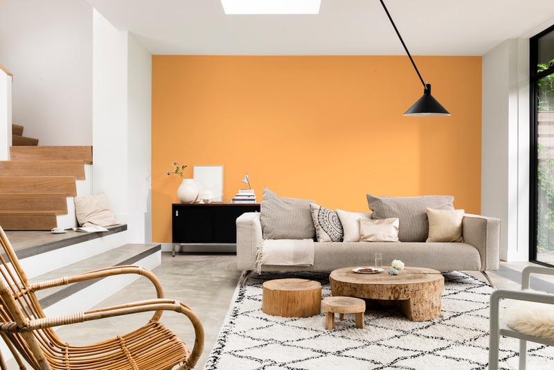 Dulux PROFESSIONAL Rezisto 5