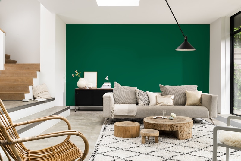 Dulux PROFESSIONAL Rezisto 5