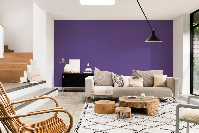 Dulux PROFESSIONAL Rezisto 5