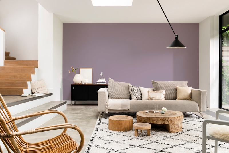 Dulux PROFESSIONAL Rezisto 5