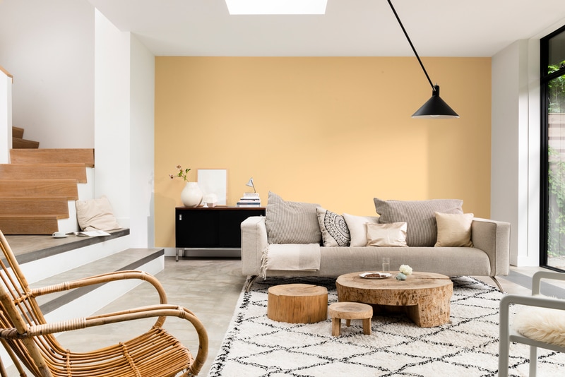 Dulux Rapidry Satin Matt