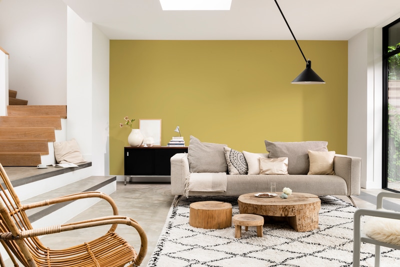 Dulux PROFESSIONAL Rezisto 5