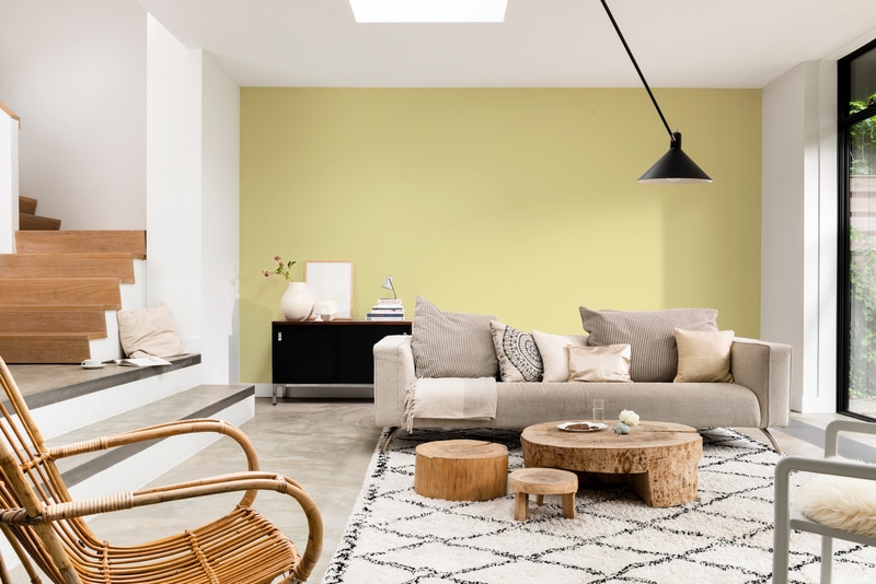 Dulux PROFESSIONAL Rezisto 5