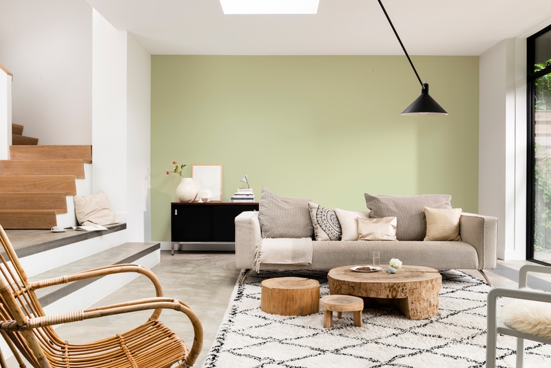 Dulux PROFESSIONAL Rezisto 5