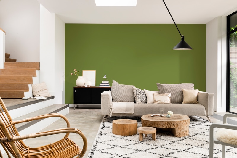 Dulux Paint Mixing Matt