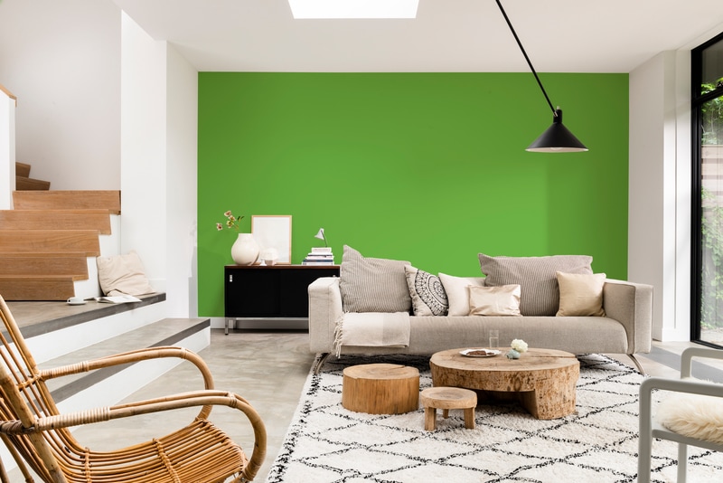 Dulux PROFESSIONAL Rezisto 5