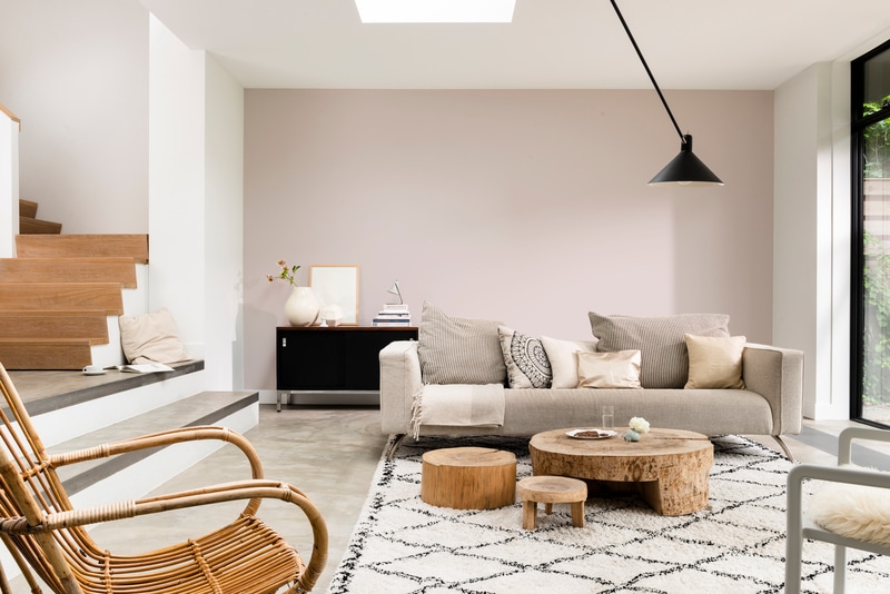 Dulux PROFESSIONAL Rezisto 5