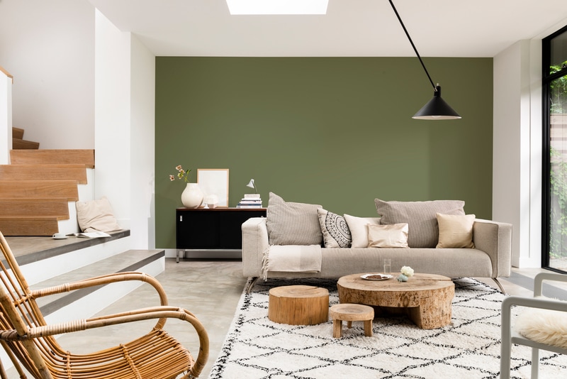 Dulux PROFESSIONAL Rezisto 5