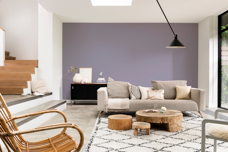 Dulux PROFESSIONAL Rezisto 5