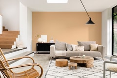 Dulux Promise Gloss Enamel