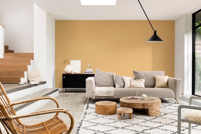 Dulux Ambiance Velvet Touch Rich Matt