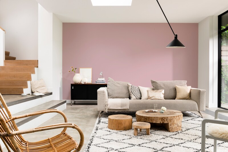 Dulux Pentalite