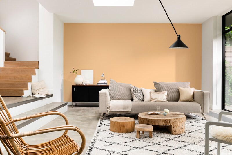Dulux Promise Gloss Enamel