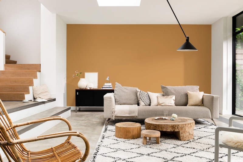 Dulux Promise Interior Emulsion