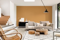 Dulux Promise Interior Emulsion