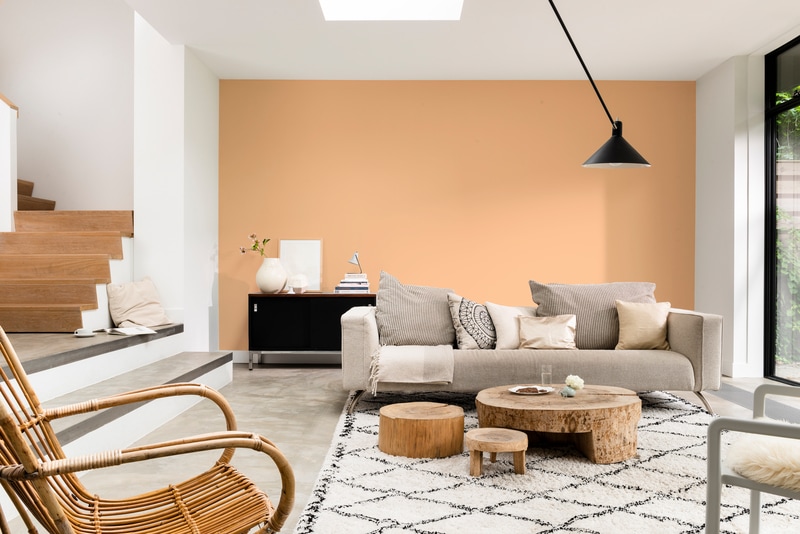 Dulux A Nagyvilág Színei festékminta