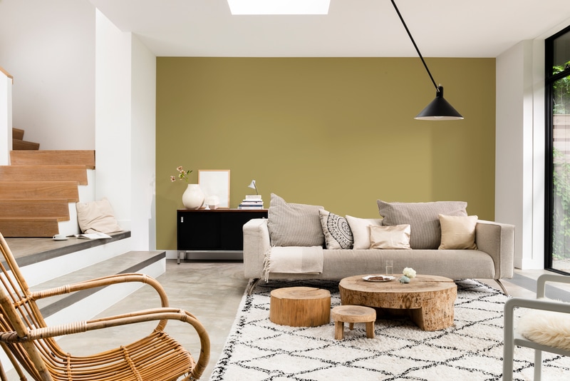 Dulux PROFESSIONAL Rezisto 5