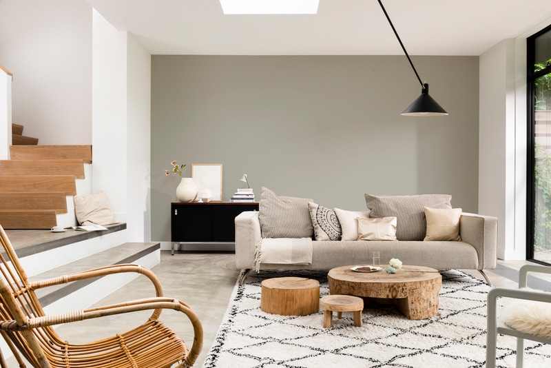 Dulux PROFESSIONAL Rezisto 5