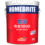 专业1000墙面漆