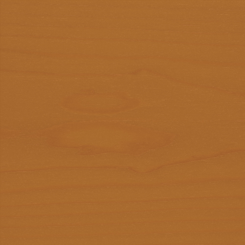 E2.45.40T