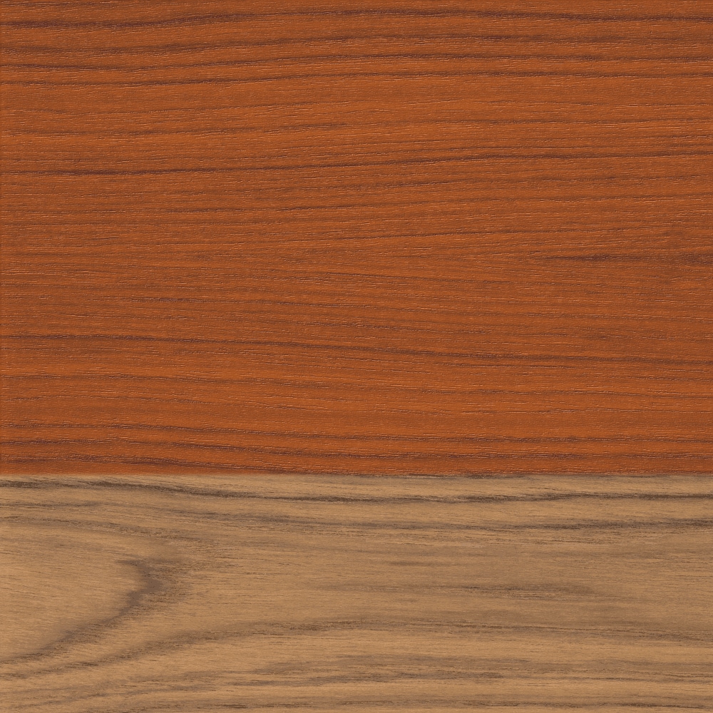 Осінній клен