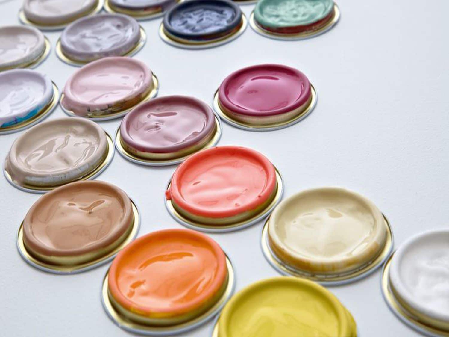 949796-coral-4364-app-large.jpeg