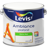 Ambiance Plafond