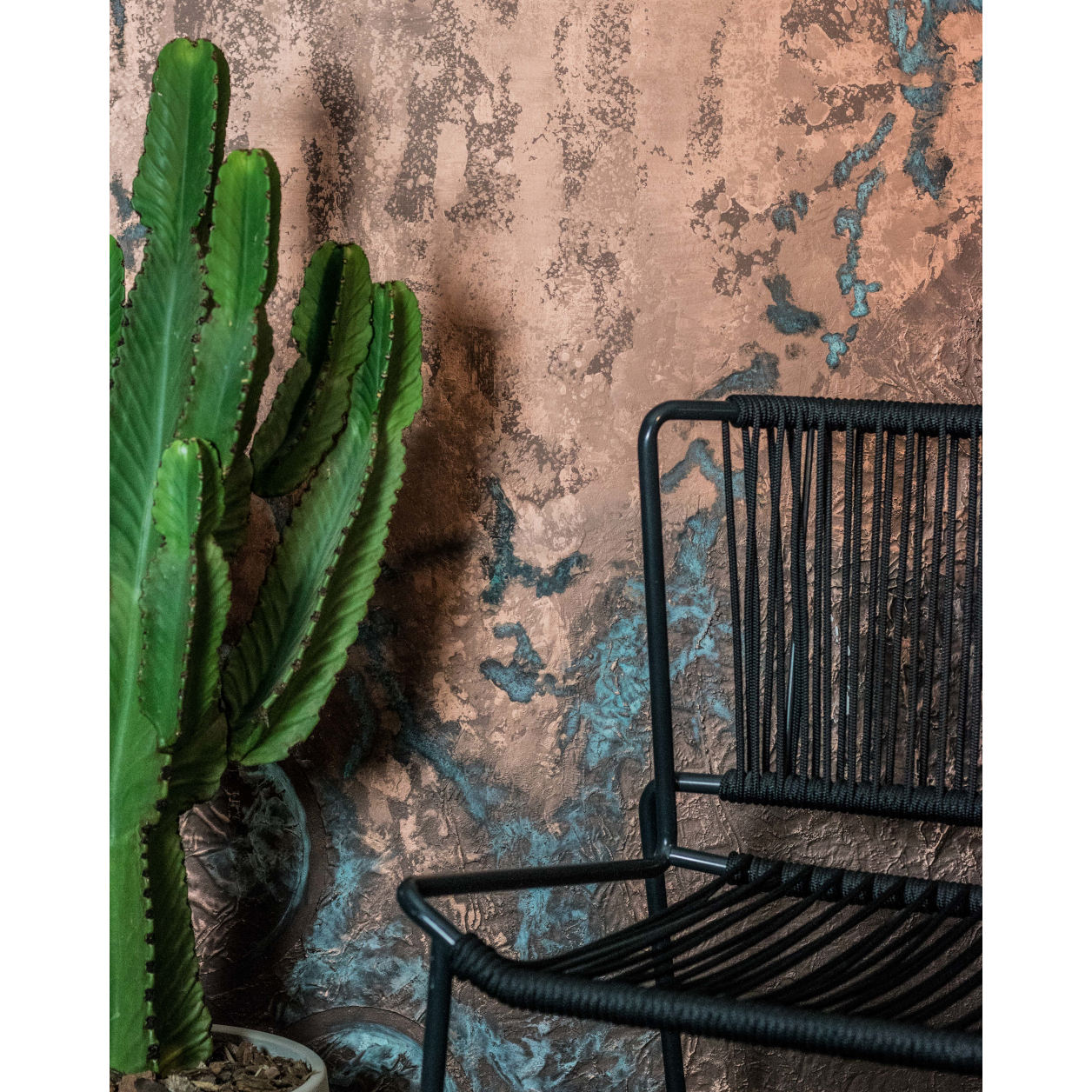 https://msp.images.akzonobel.com/prd/dh/echyol/packshots/bc/59/9f/74/verderame_wall_painting_90.png