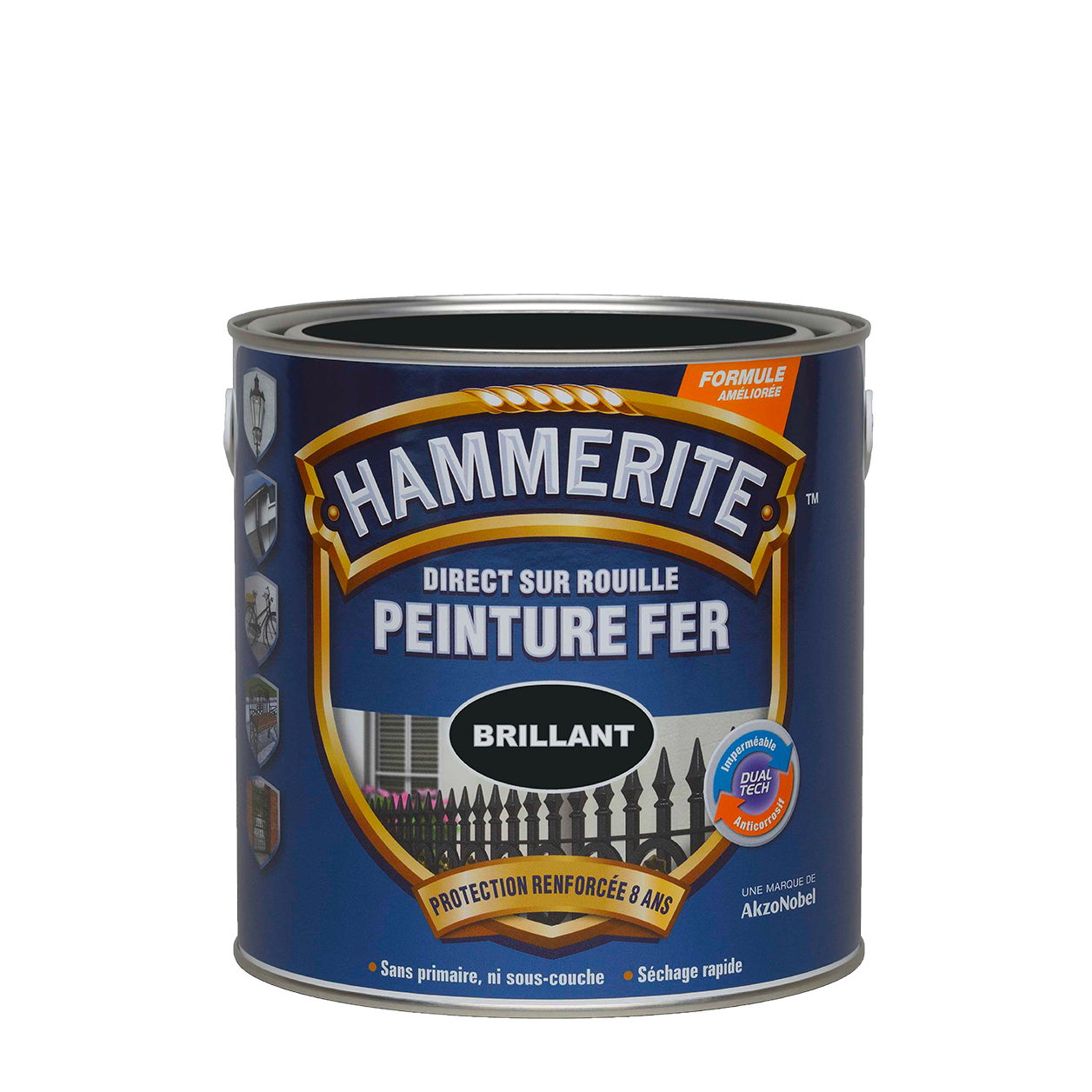 Peinture Direct sur Rouille Brillant Laqué