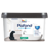 Plafond Cuisine et Bain