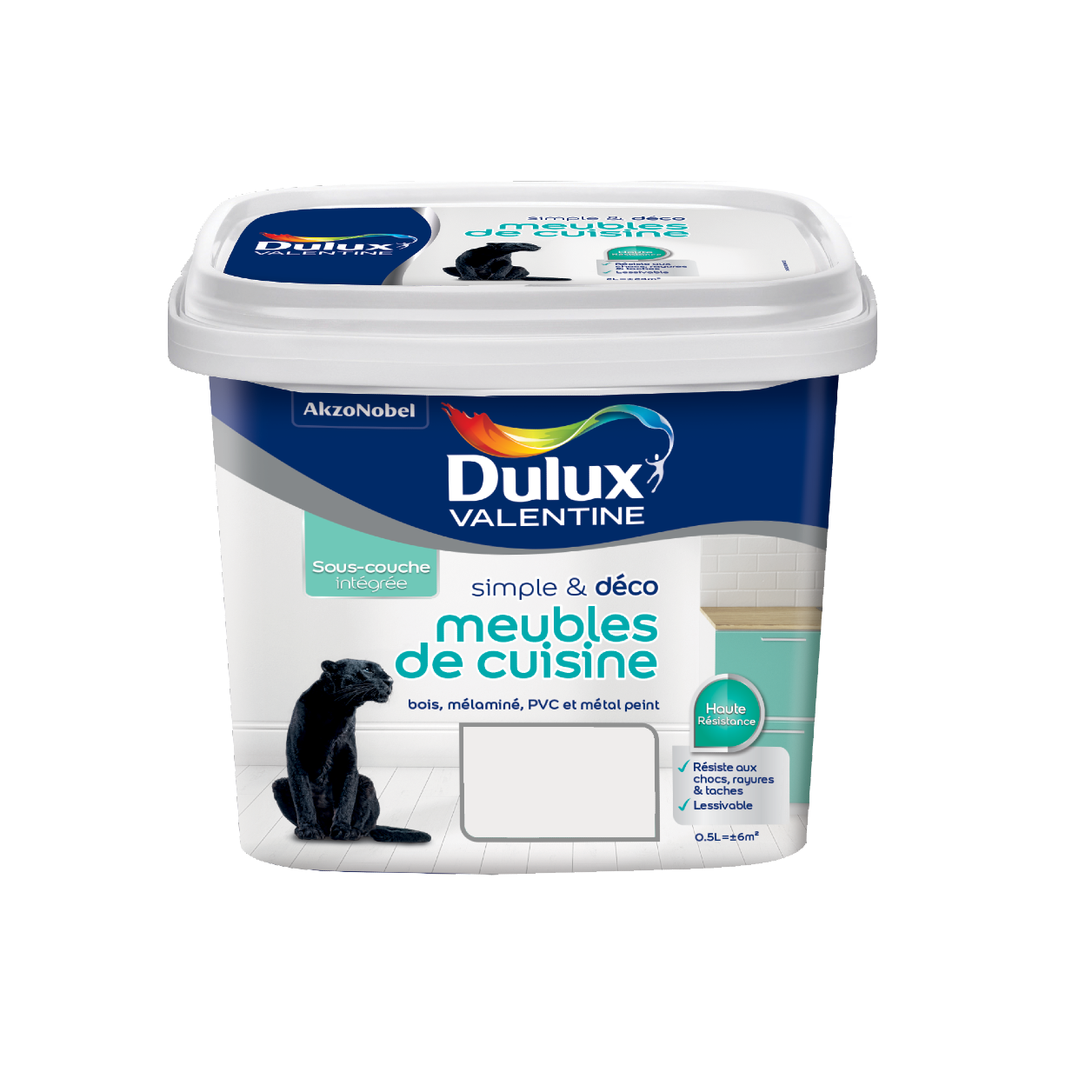 Peinture de rénovation meubles de cuisine