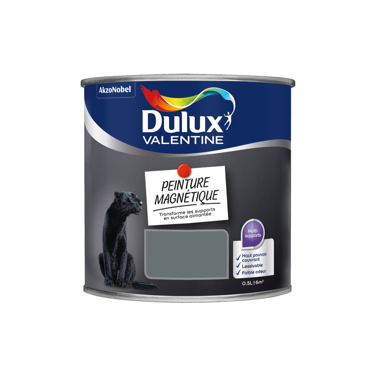 Peinture magnétique