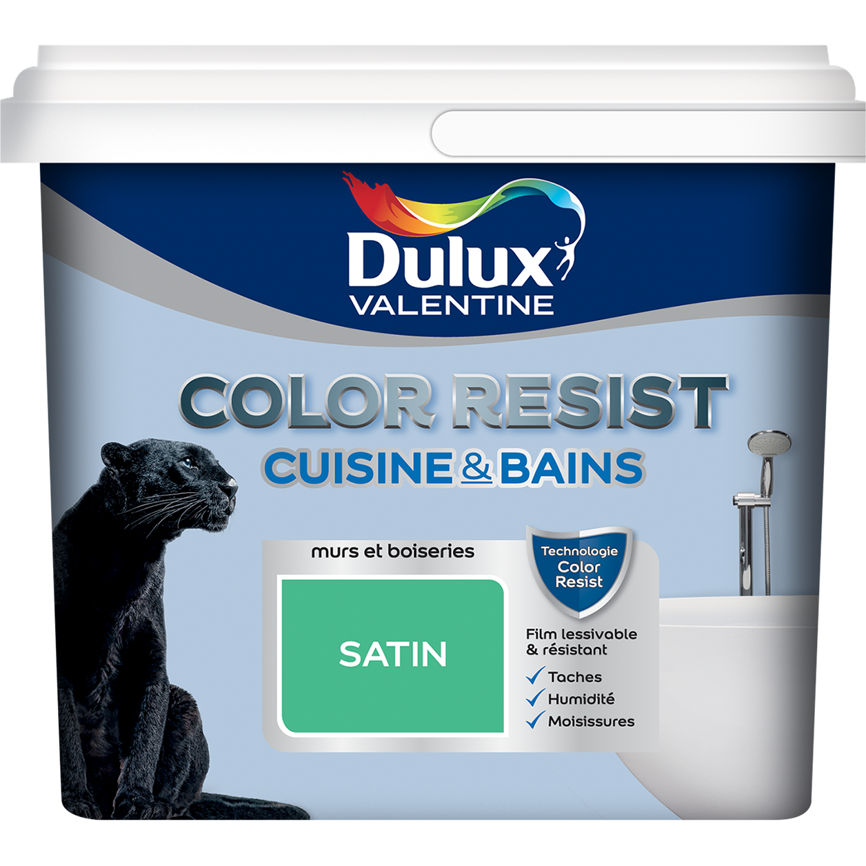 Color Resist Cuisine et Bains satin