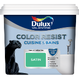 Color Resist Cuisine et Bains Satin