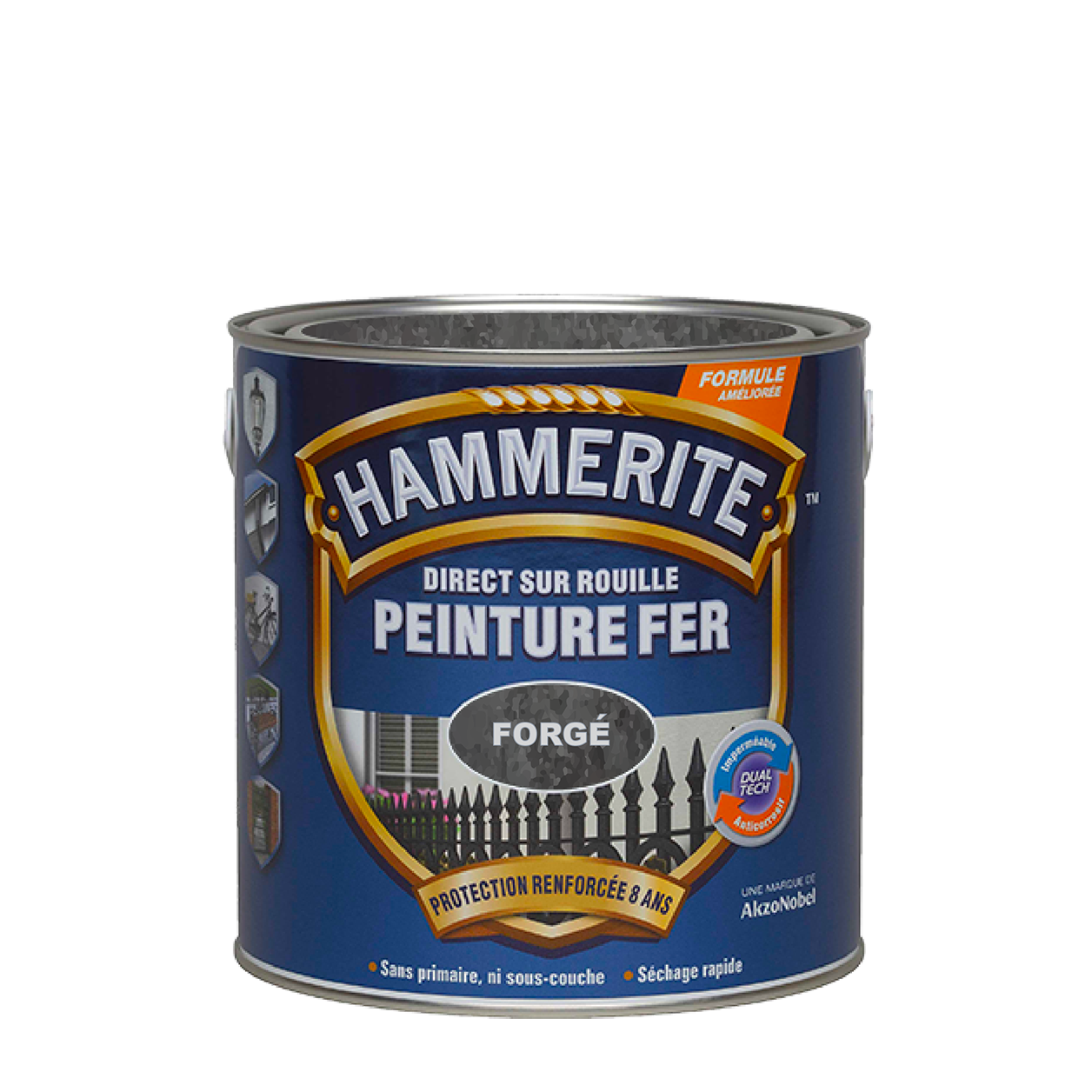 Peinture Direct sur Rouille Forgé