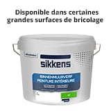 Peinture Intérieure Mate