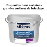 Peinture Intérieure Velours