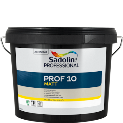 Prof 10