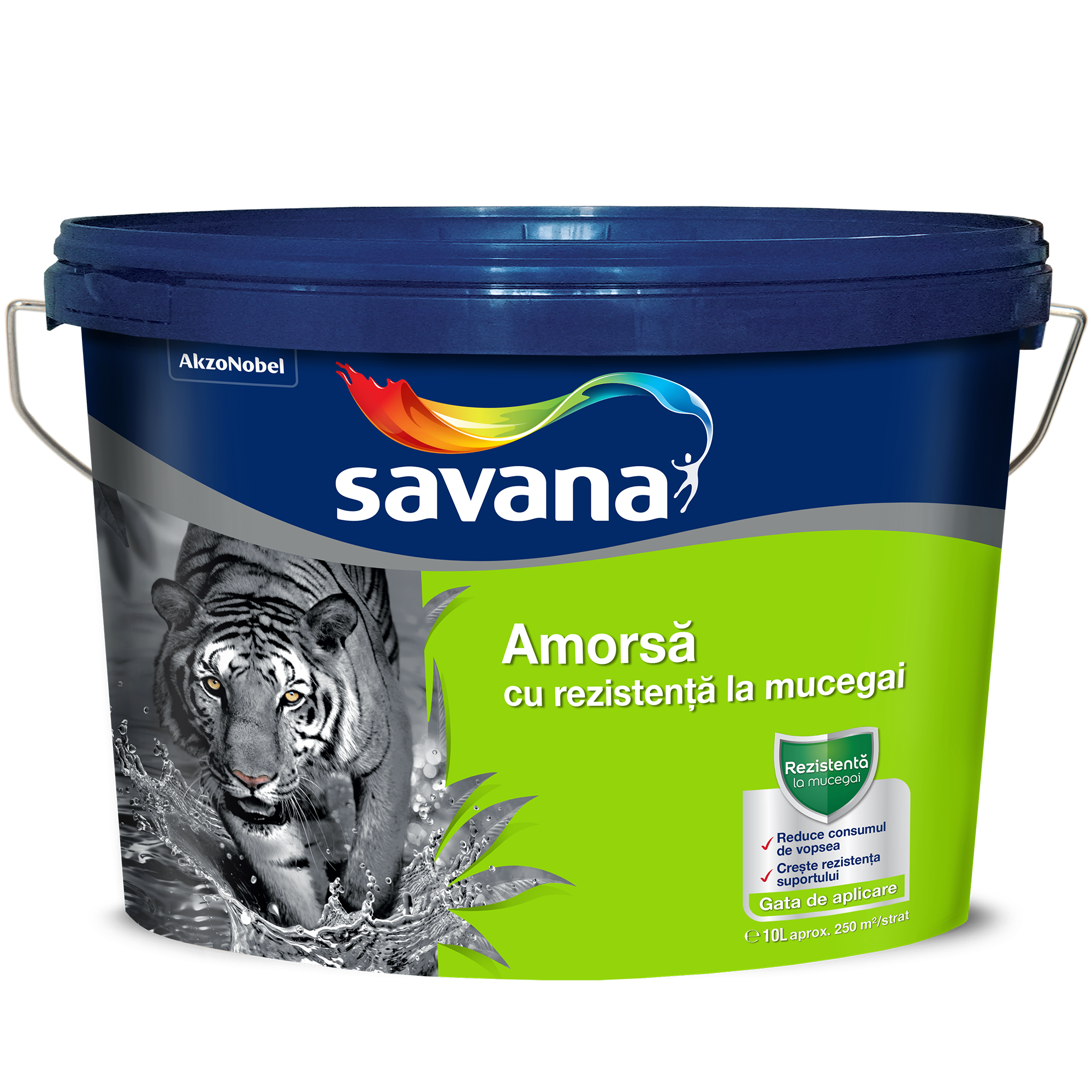 savana amorsă cu rezistență la mucegai