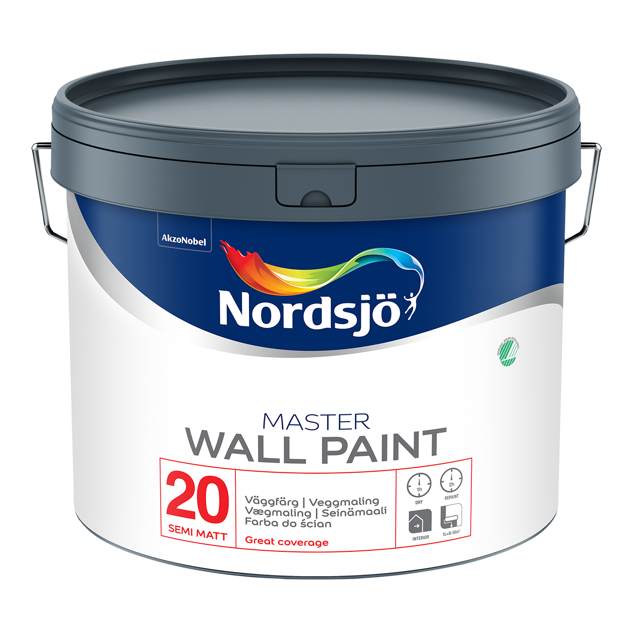 Master Wall Paint 20
