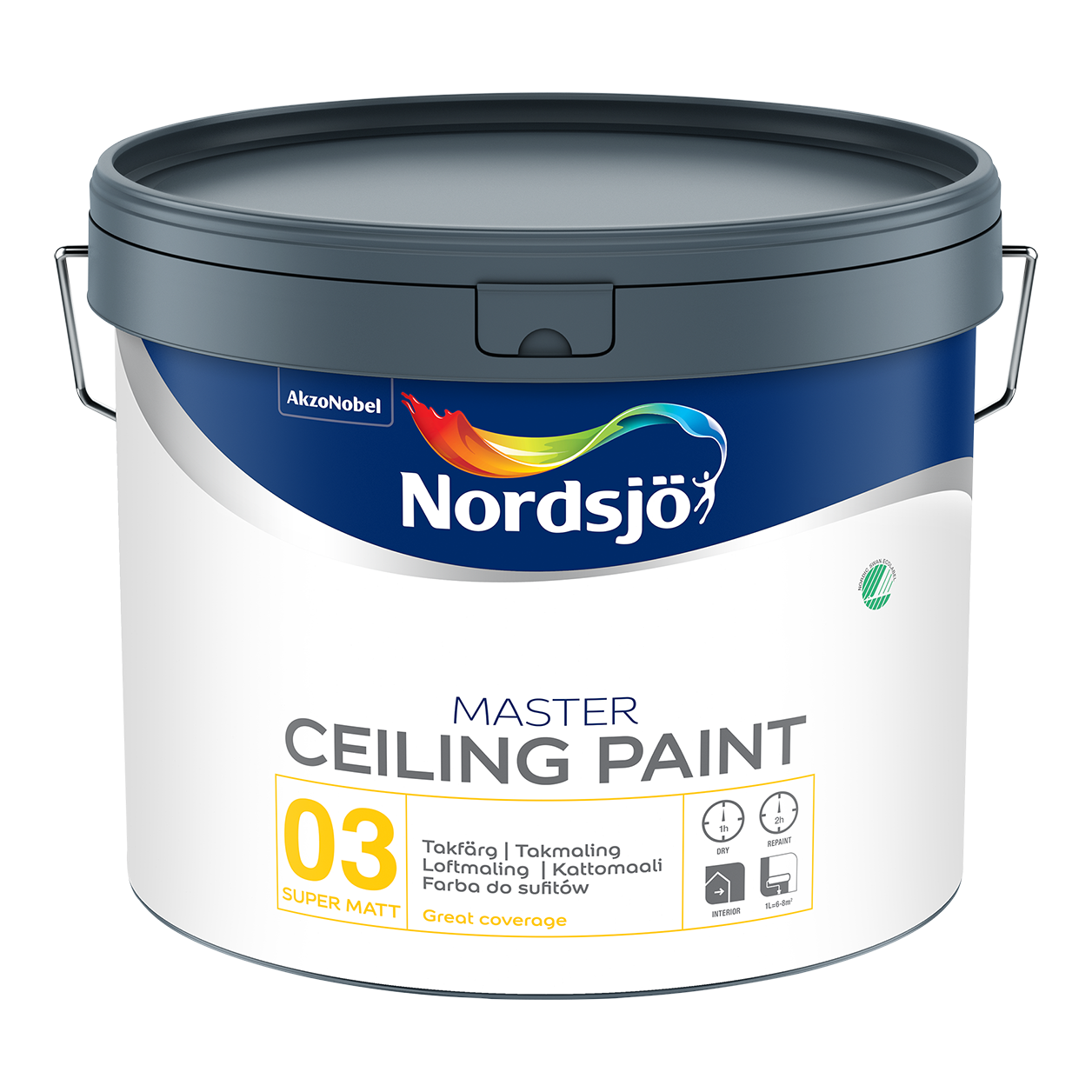 Master Ceiling Paint 3