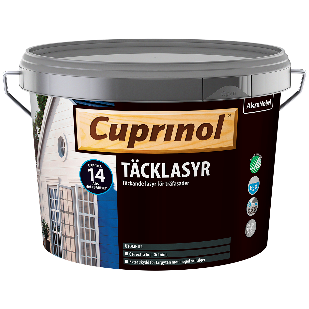 Täcklasyr