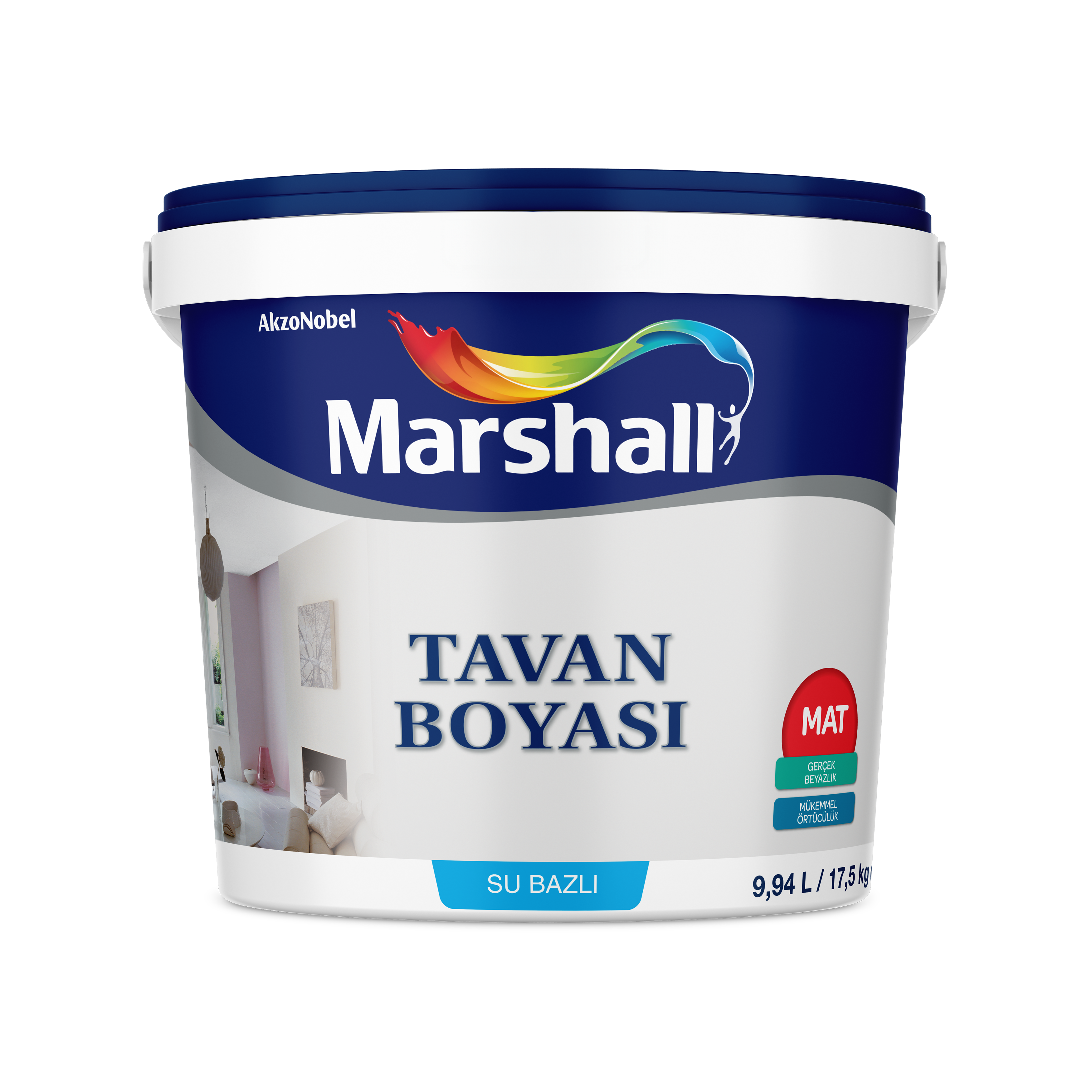 Tavan Boyası